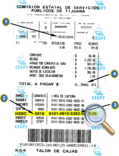 IMAGEN TICKET